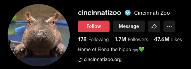 TikTok Profile Example